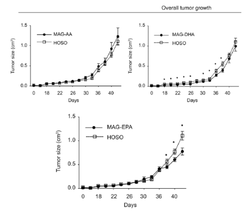 Figure 5 : Effets du MAG-EPA sur la croissance des tumeurs prostatiques.